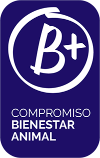 Logo B+